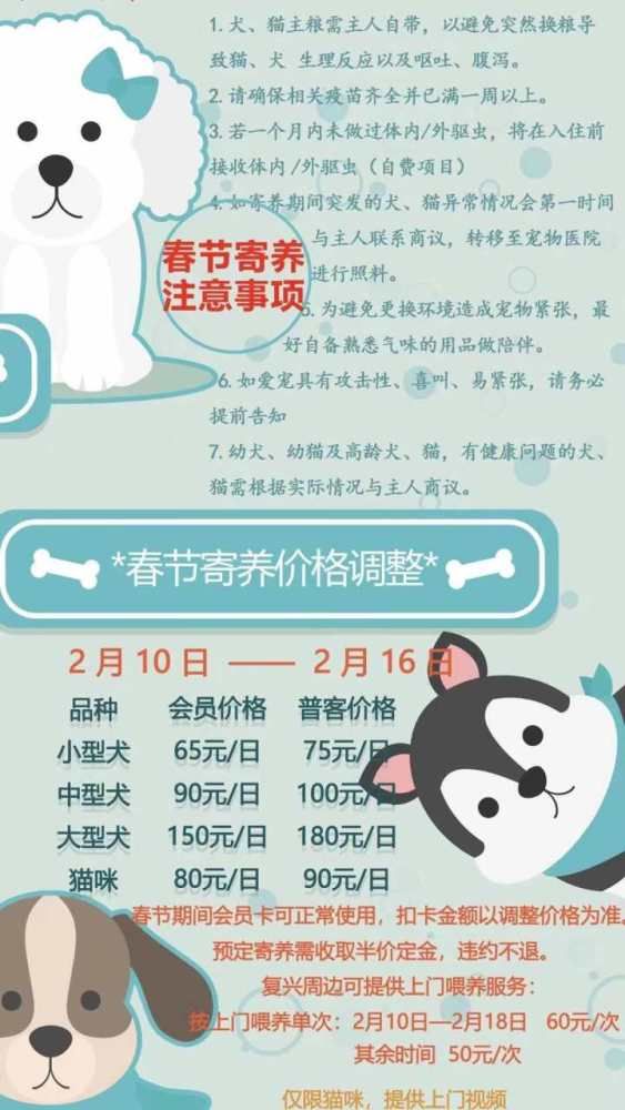 宠物店洗澡多少钱一个?不同体型和需求价格差异大吗?