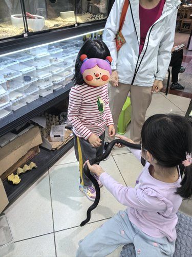 熊孩纸不怕蛇