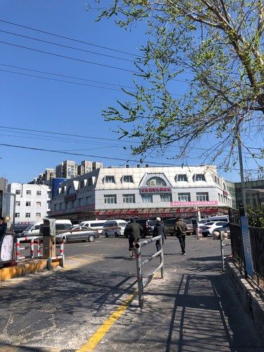 周末逛岳各庄批发市场