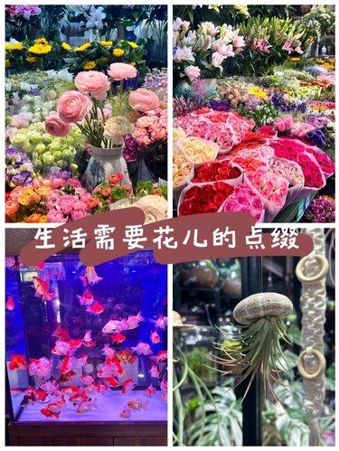 朝来春花卉市场 | 春天永不打烊