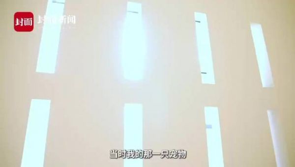 爱犬曾被拒载遗体丢垃圾场,后来他成了宠物殡葬师
