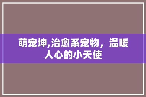 萌宠坤,治愈系宠物，温暖人心的小天使