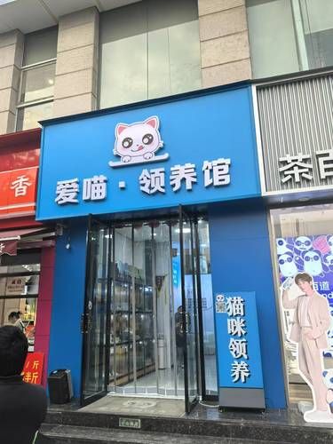 免费领养
