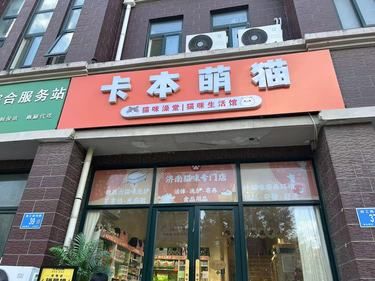 宠物店的暖心事