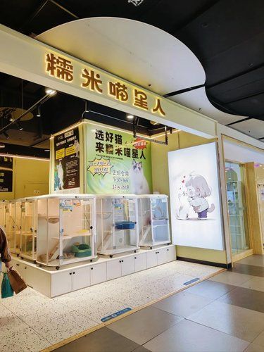 店里猫咪超治愈
