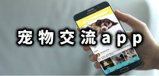 宠物交流app