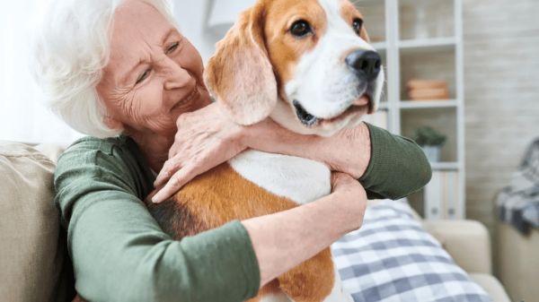 探索人类和宠物之间的纽带:了解2025年3月的深层联系