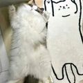 https://p1.meituan.net/userheadpicbackend/0395ace5aa8fbd593db8a1b033e8c0e8430255.jpg%40120w_120h_1e_1c_1l%7Cwatermark%3D0