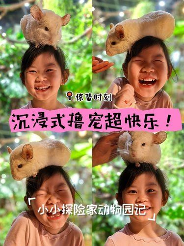 惊蛰时刻︱最好的爬宠馆之一