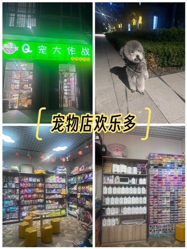 宠物美容小心得