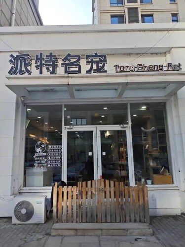 宠物美容小心得