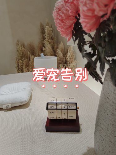 最好的告别：你陪我一生，我送你一程