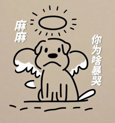 小动物的终点也可以很温暖