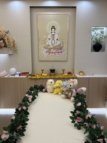 靠谱的宠物殡葬店是这样的！ 