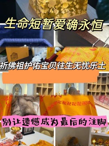 松江宠物殡葬宠物火化哪家好