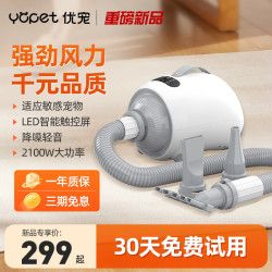 优宠 Yopet 宠物吹水机宠物吹风机狗狗吹水机中大型犬大功率吹毛低噪吹干神器 灰色 2100W