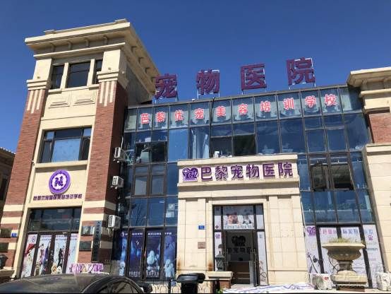 学校环境