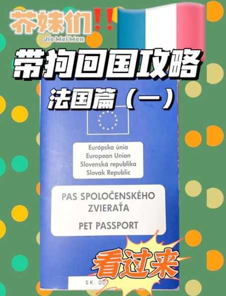 留学带宠物回国怎么操作？如何合法带宠物回国？ 第1张