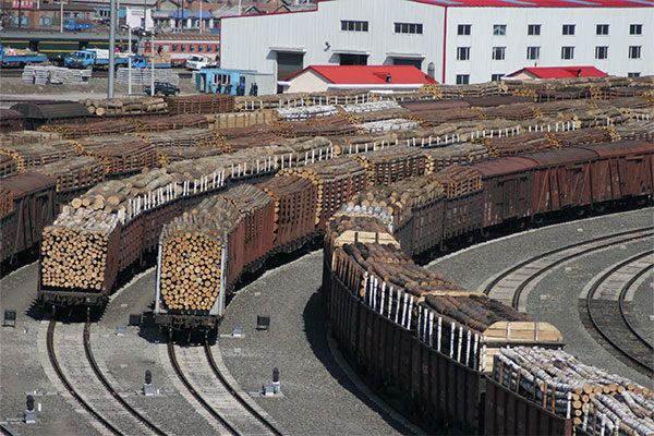 「青岛」宠物产品出口日本要求(从日本带宠物回国)
