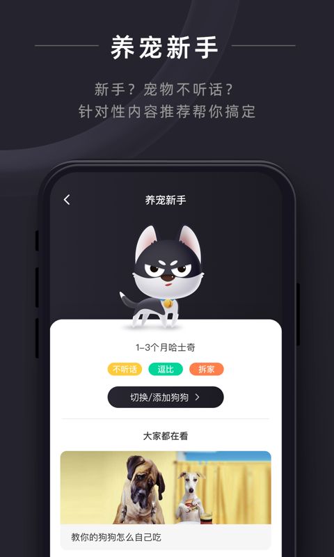悠宠