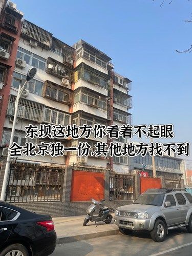 没来过这里，你敢相信东坝已经遥遥领先？！