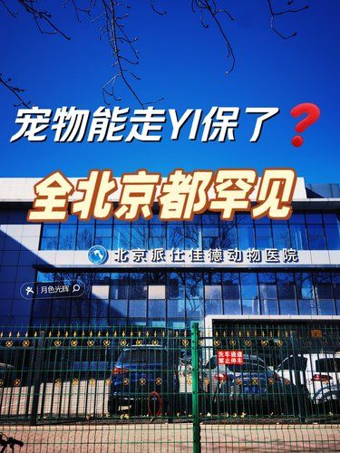 宠物重生之地‼️京城顶流猫狗再生的神仙中心