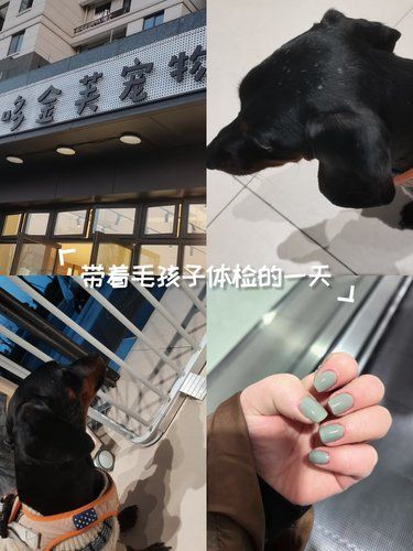 换个指甲色，提升心情