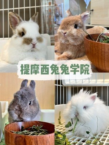 杭州新店！适合情侣闺蜜的约会圣地！