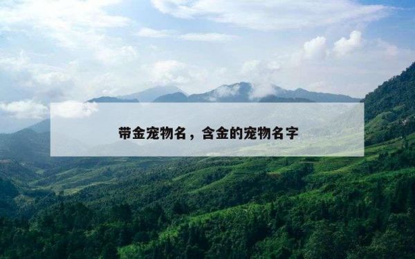 带金宠物名，含金的宠物名字