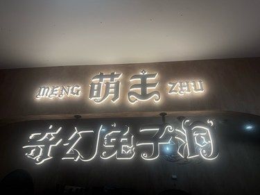 快乐是猫咪给的