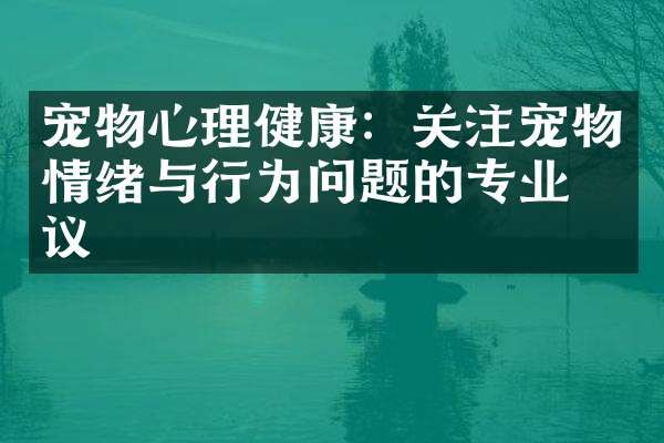 宠物心理健康：关注宠物情绪与行为问题的专业建议