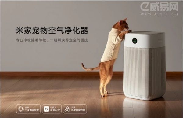 宠物空气净化器