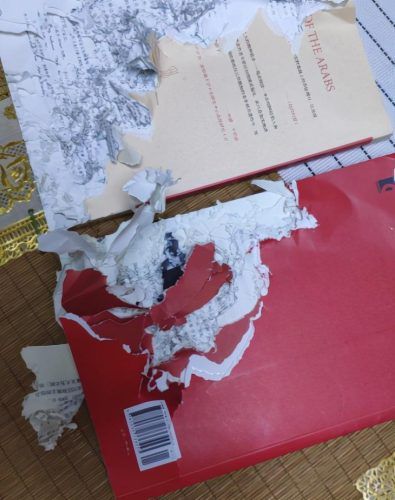 土拨鼠多少钱一只(普通土拨鼠多少一个)插图7