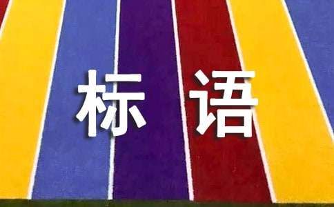 （集合）宠物店广告标语