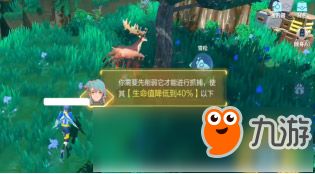 我的起源宠物玩法介绍，不会打架的宝宝可不是好坐骑！