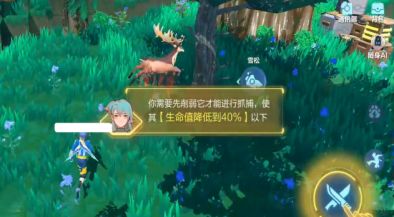 我的起源宠物怎么捕捉 我的起源捕捉宠物攻略1