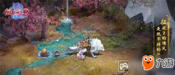 你和大神之间，只隔着一只宠物的距离！