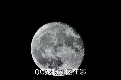 QQ宠物社区在哪