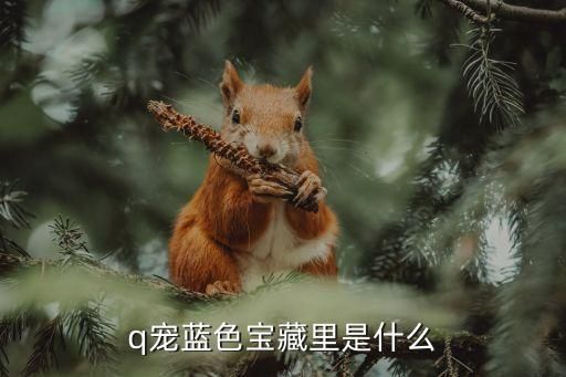 q宠蓝色宝藏里是什么