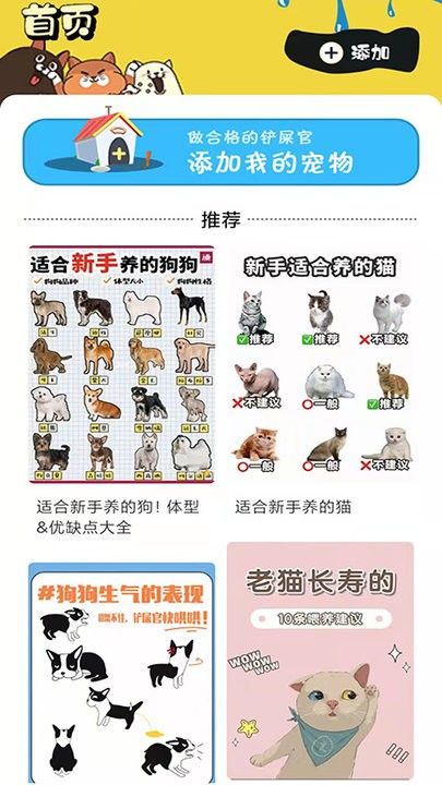 肥猫看看app手机版下载