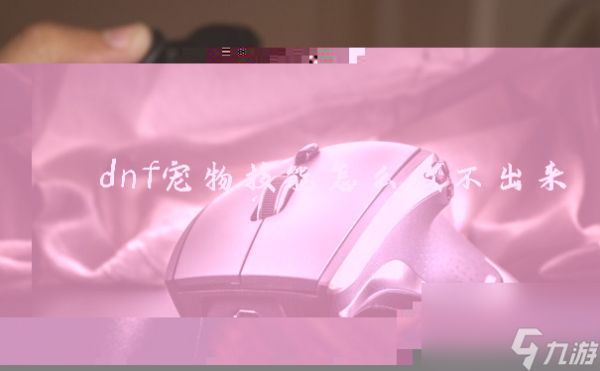dnf宠物技能怎么放不出来