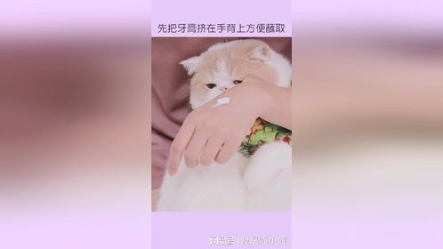 再不刷牙我都不想亲你了