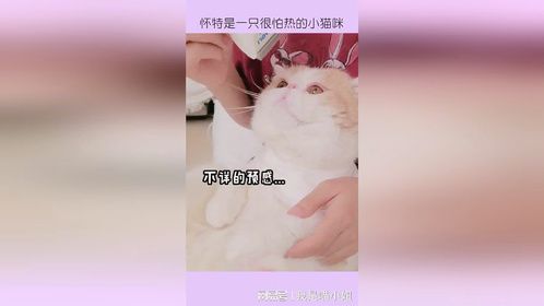韩商言脚臭，我们不能学他！