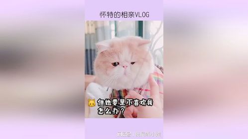 今天陪你去相亲！