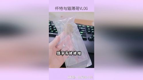 为什么猫会对猫薄荷上瘾？