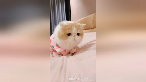 今天破例让你睡我的床，开心不？请看到最后呀