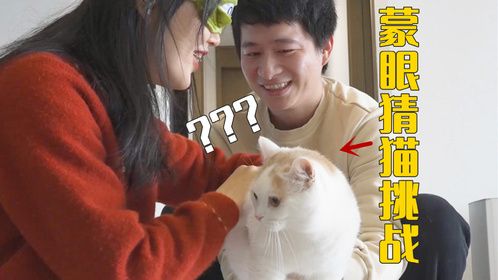 情侣蒙眼猜猫挑战，谁赢了奖励亲猫100下！
