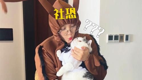 适合社恐人士的带猫出门穿搭