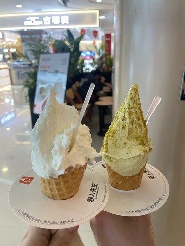 野人先生现代店