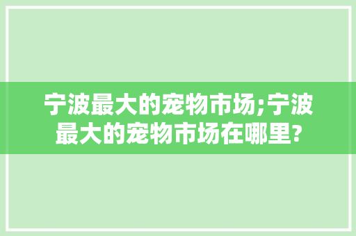 宁波最大的宠物市场;宁波最大的宠物市场在哪里?